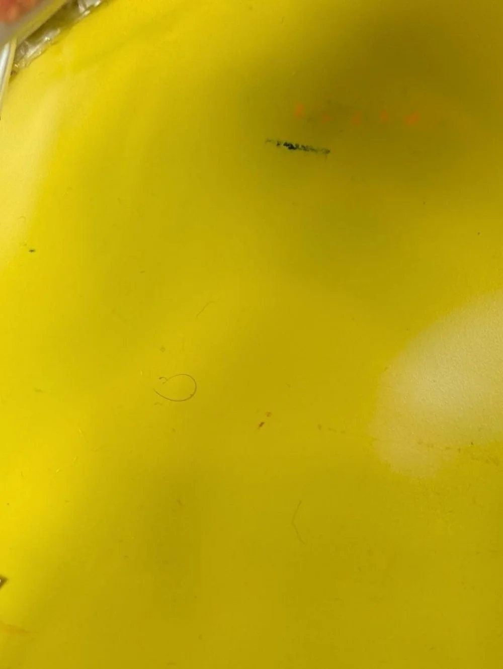 Crayola Clear, Yellow, Red, Blue, Green, Purple, & Orange Rainbow Backpack